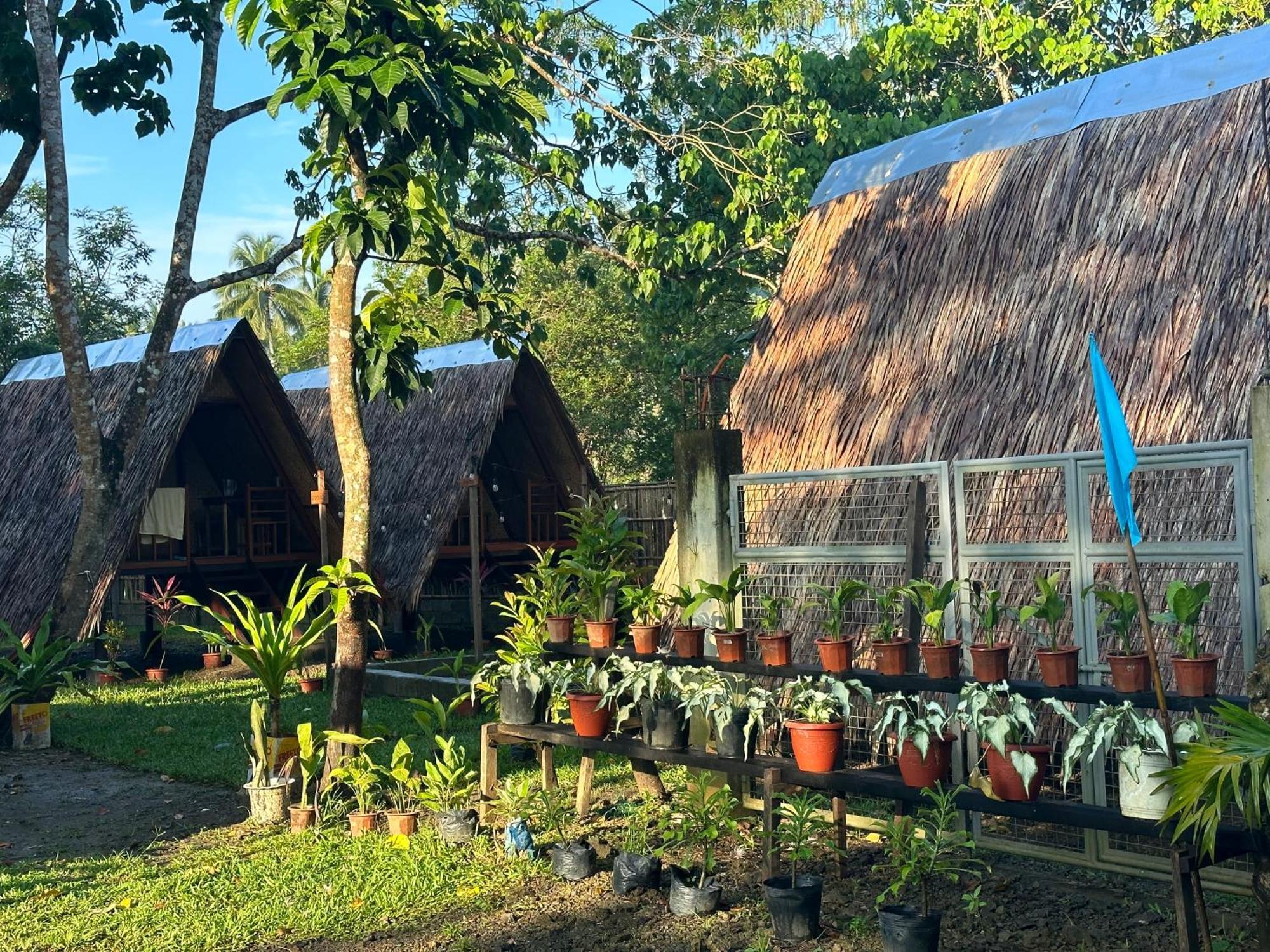 Hiraya Camp Site - Free Use Of Scooter For Nipa Huts Hotel El Nido Luaran gambar